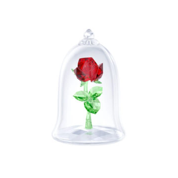 Enchanted Rose, Beauty and The Beast
