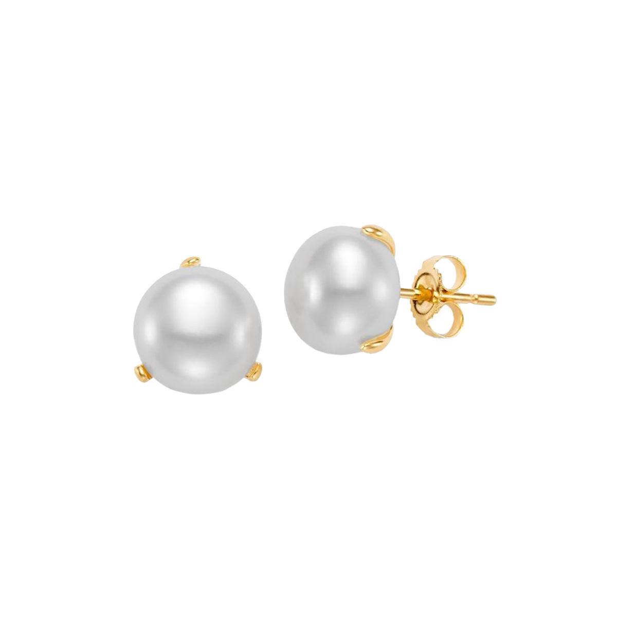 14K Yellow Gold Freshwater Button Pearl Earrings