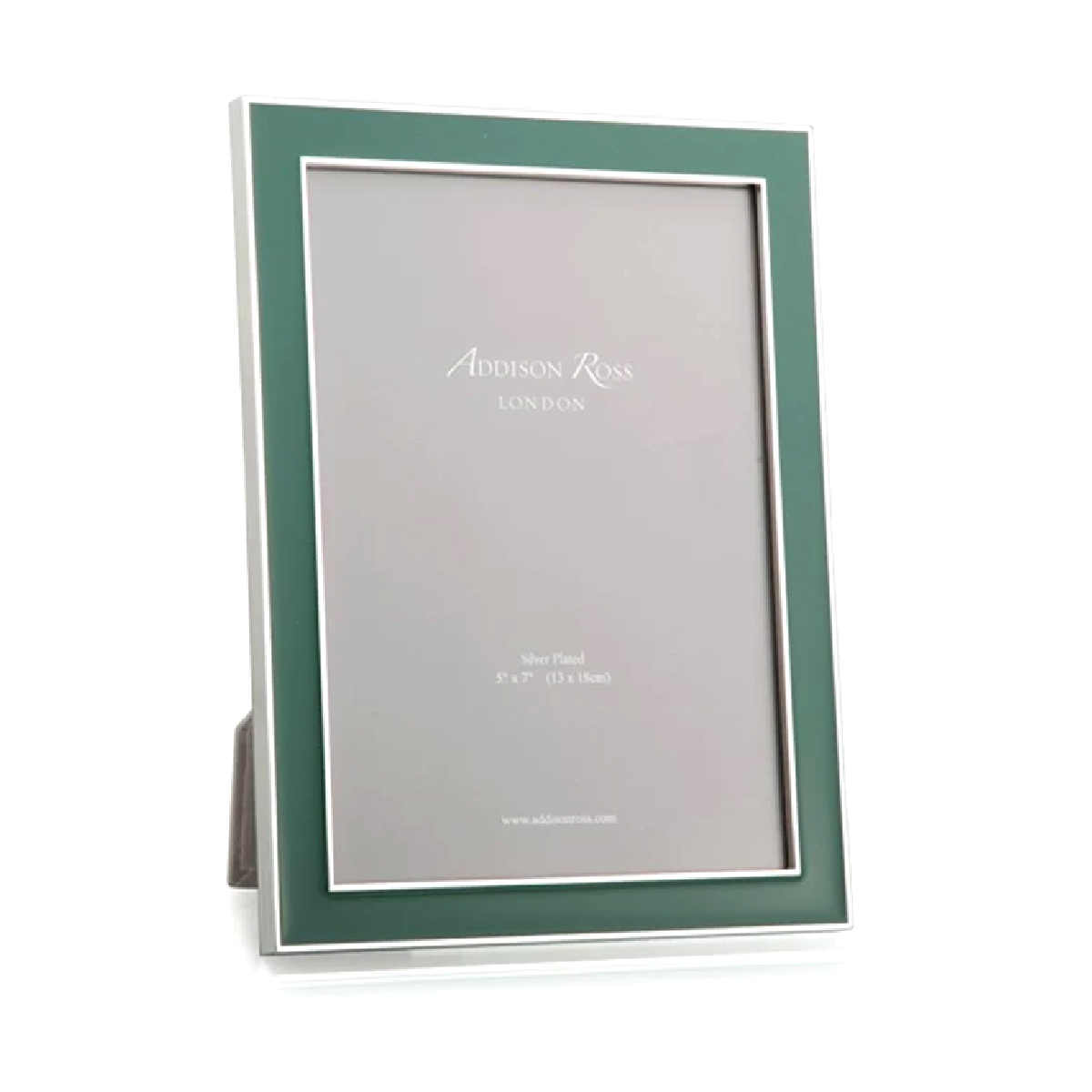 Addison Ross - Fern Green & Silver 4x6 Frame