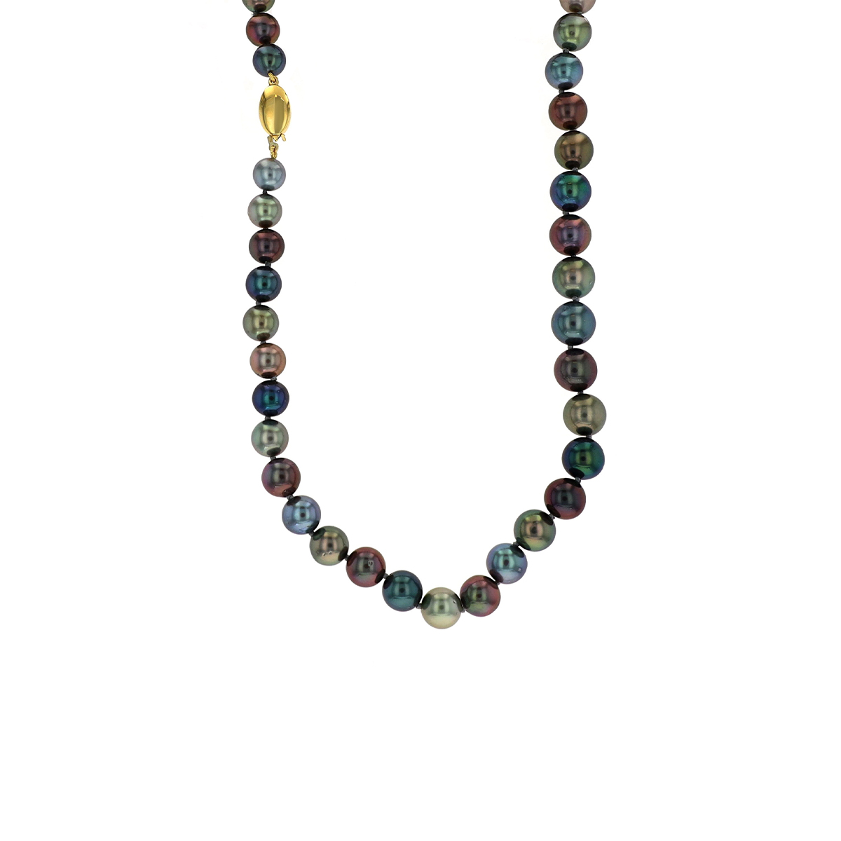 18-Inch Graduated Tahitian Pearl Strand with 14K Yellow Gold Clasp